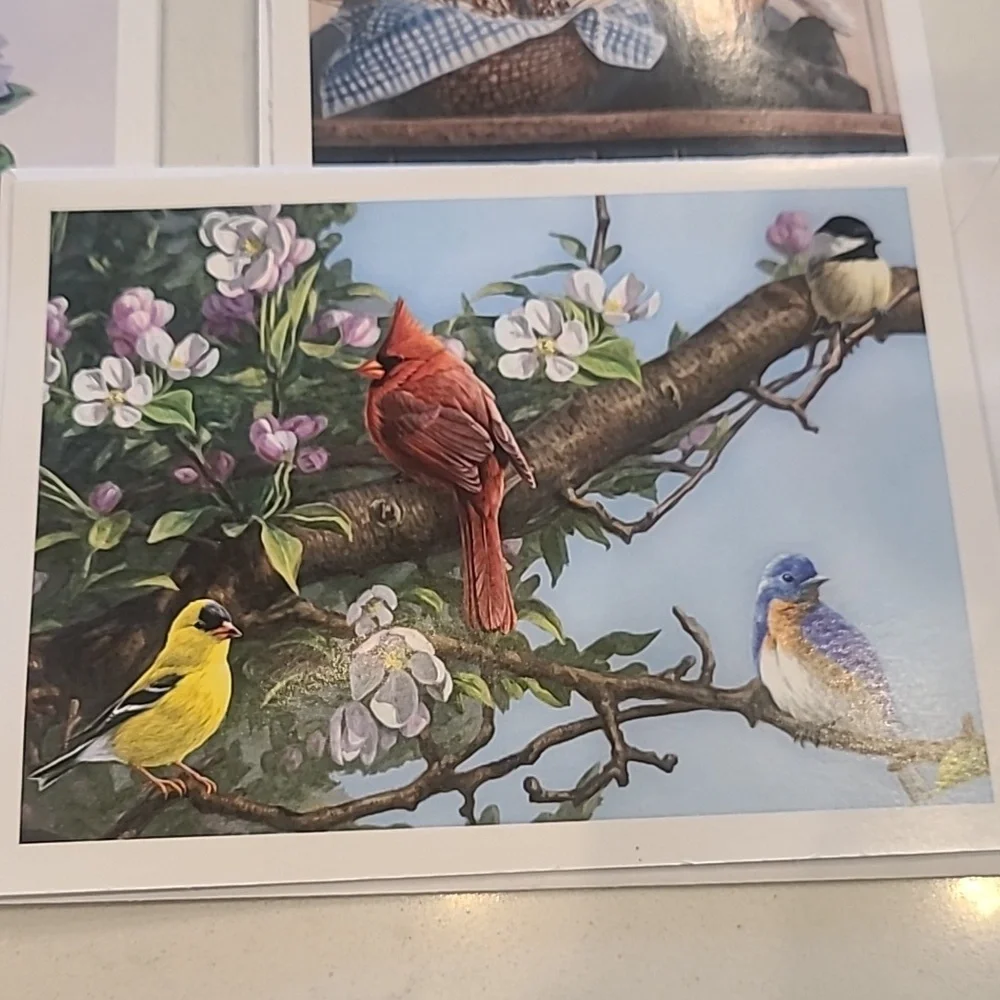 Americana 13 Blank Card Bundle